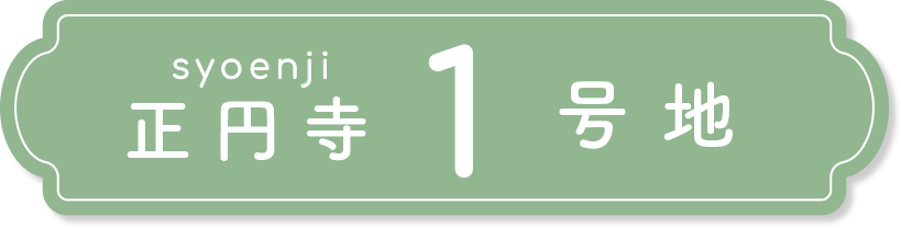 正円寺1号地